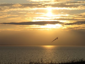 Sunset-Fliegen